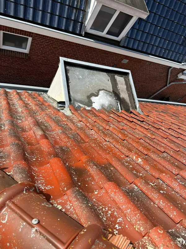 Pannendak reinigen in Zuidbroek