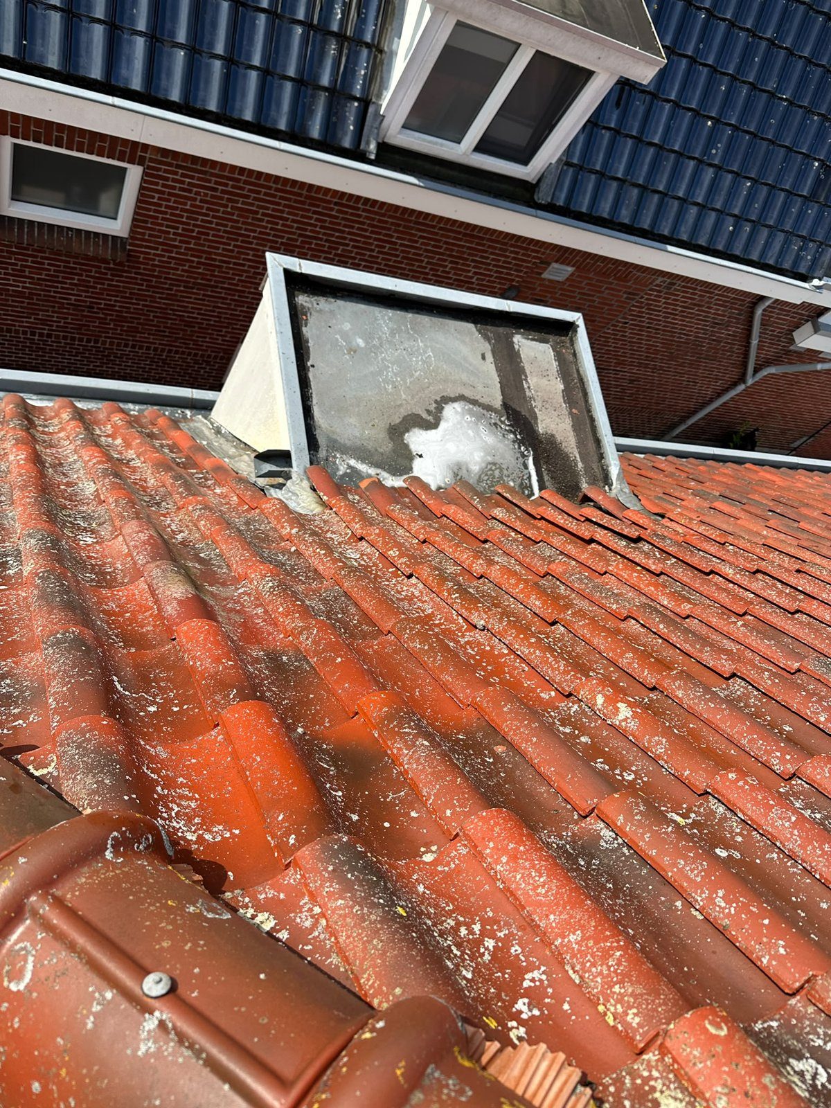 Pannendak reinigen in zuidbroek